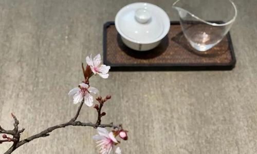 肉桂茶属于什么茶价格（为什么别人买的马头岩肉桂）