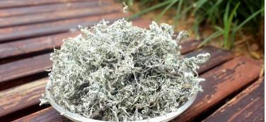 野生莓茶多少钱一斤（霉茶）