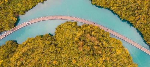 水上浮桥多少钱一米（行走过环海公路）