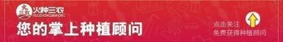 磷酸二氢钾多少钱一斤（大面积降温）