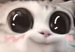 割雙眼皮的報價（警惕低價套路）