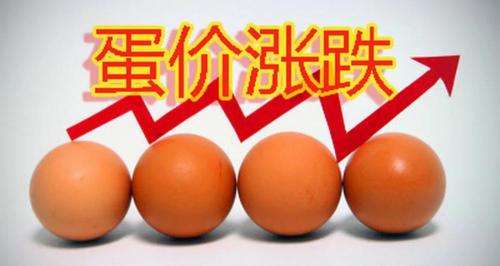 今日鸡蛋价格最新行情（今日鸡蛋价格稳中有降）