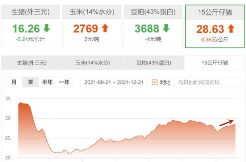 养猪设备报价（12月21日仔猪价格）