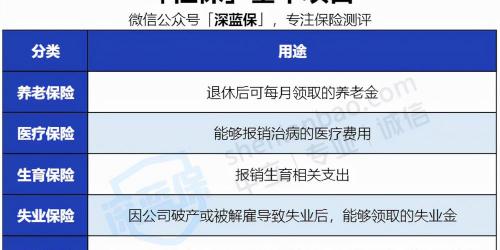 社保一年要交多少钱（没有工作单位也没有社保）