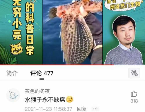 袋鼠尾巴精多少钱一盒（靠表情包和奥运冠军互动）