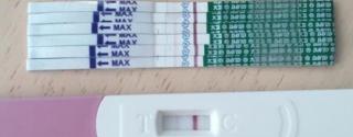医院b超多少钱一次（确定怀孕后必须要做的2项检查）