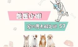 牙龈息肉切除要多少钱（辟谣）