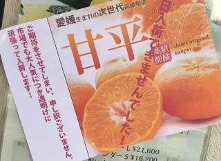 甘平柑橘多少钱一斤（日本爱媛新品种）