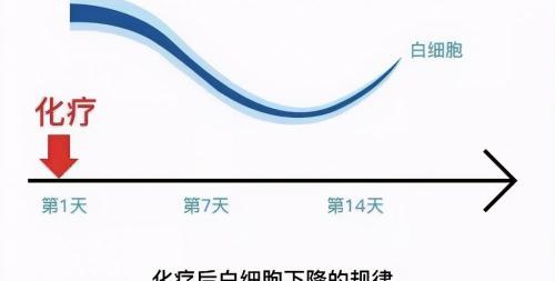 地榆升白片多少钱一盒（为什么要）