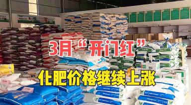 尿素价格多少钱一吨（3月）