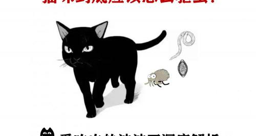 猫咪驱虫多少钱（认真研究了猫的寄生虫和驱虫药后）