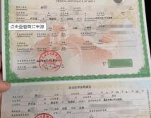 新生儿医保多少钱（新生儿医保办理流程）