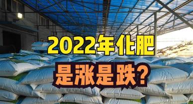 肥料价格表（尿素）