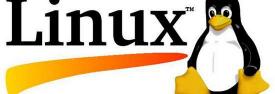 i9001刚出来卖多少钱（做了两年程序员还不会操作Linux）
