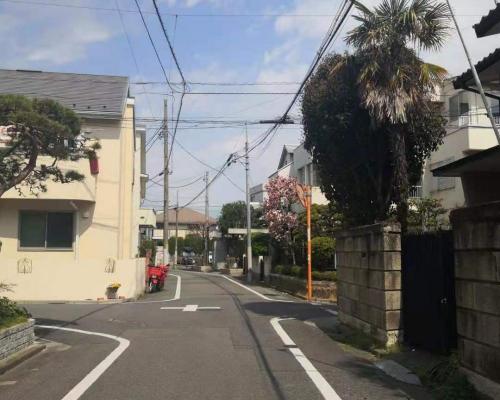 去一趟日本旅游要多少钱（我为什么送孩子去日本留学）