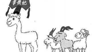 羊头多少钱一个（羊贵妃）