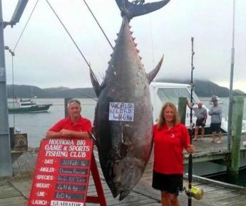 黃鰭金槍魚多少錢一斤（一條金槍魚到底能有多貴）