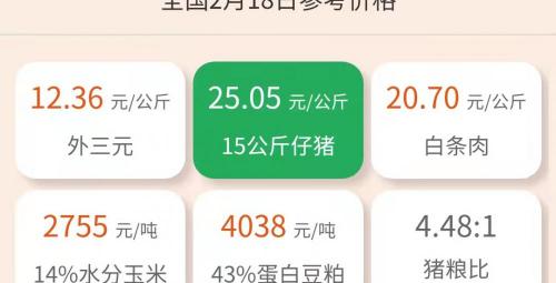 仔猪价格今日猪价（2月18日仔猪价格）