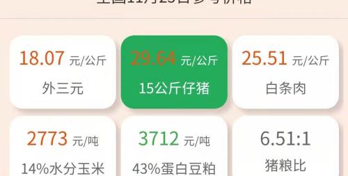 養豬設備報價（11月25日仔豬價格）