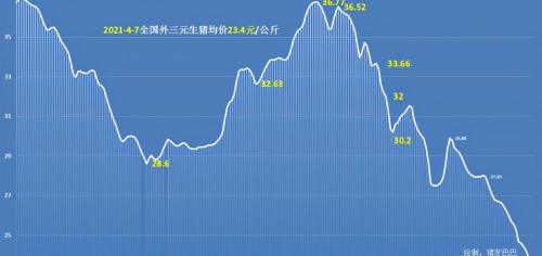 300斤牛犊价格表（猪肉大跌30）
