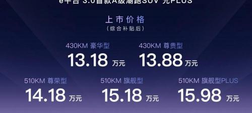 比亚迪电动汽车报价（13）