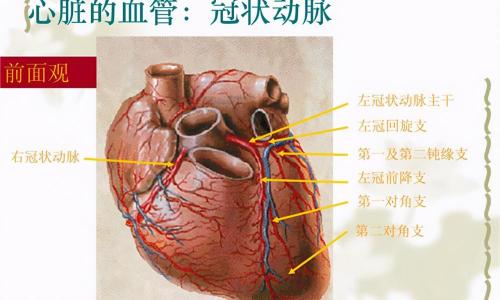 造影手术一般多少钱（冠脉CT造影检查是怎样做的）