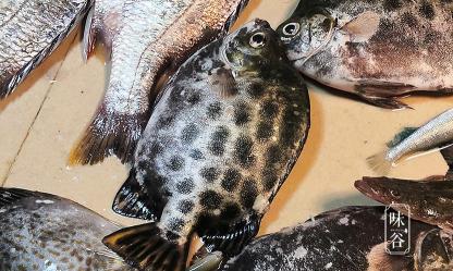 金鼓魚多少錢一斤（遇到這8種魚）