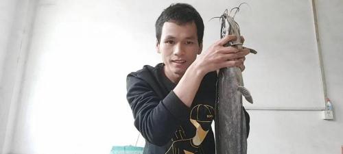 鲮鱼多少钱一斤（这几种鱼是最成功的入侵鱼类）
