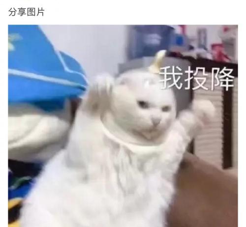 轩v一瓶多少钱（太笋了）