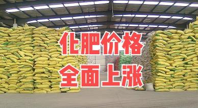 肥料报价（化肥价格全面上调）