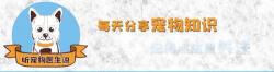 给狗狗打疫苗要多少钱（狗狗打四联疫苗到底需要打几针）
