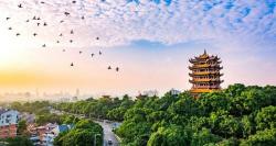 蓝黄鹤楼多少钱一包（你抽100元的黄鹤楼）