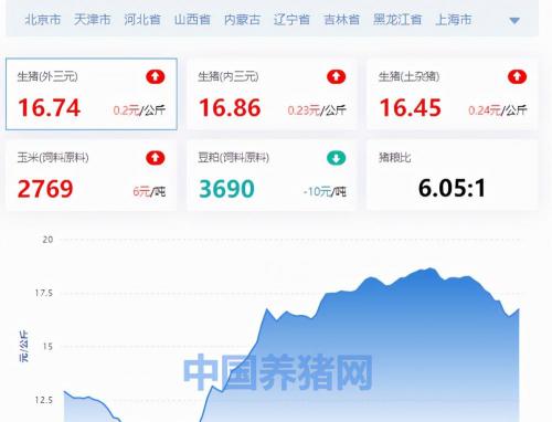 现在猪肉价格多少钱一斤（全国生猪价格涨跌表）