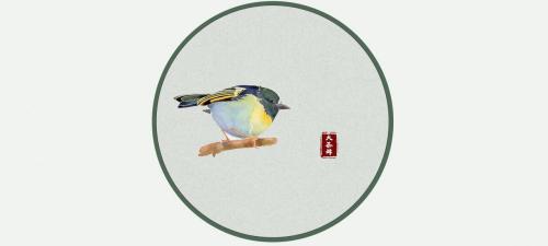 冻顶乌龙茶多少钱一斤（今天）