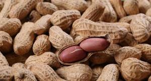 现在花生米多少钱一斤（2020花生价格最新行情）