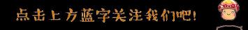 泰迪狗做造型多少钱（主人看腻了泰迪的小卷毛）