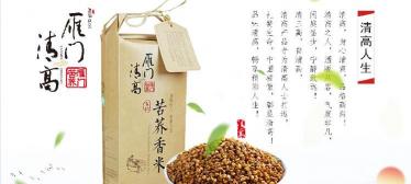 苦荞酒多少钱一瓶（苦荞茶品牌排行）