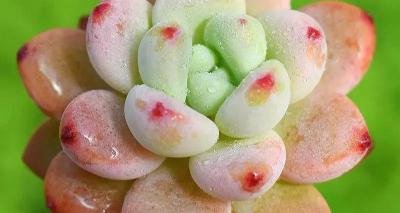 清宫因子多少钱一盒（子宫内膜息肉）