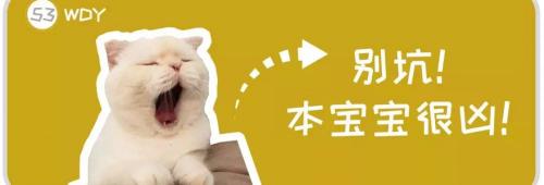 弓形虫检查多少钱（给猫咪看病那么贵）