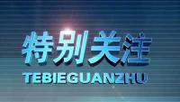 铁粉报价（疫情）