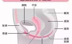 盆底检查一般多少钱（福利来啦）