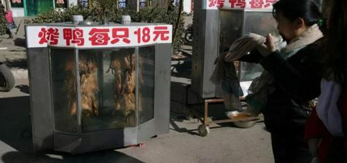鸭毛多少钱一斤2017（一只活鸭50元）