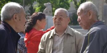 社区养老保险一年交多少钱（好消息）