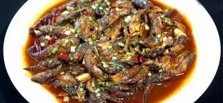 沙塘鱧多少錢一斤（杭州以土步魚為上品）