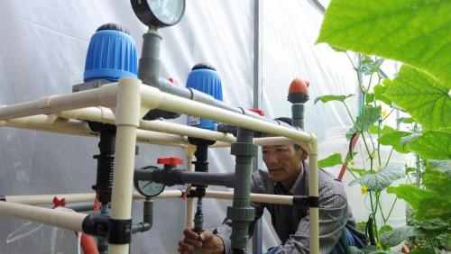 水溶肥报价（6000元1吨和20000元1吨的水溶肥）