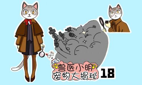 矮脚猫大概多少钱一只（辟谣）