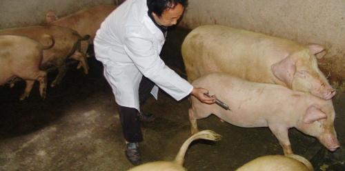 大观霉素多少钱一针（别再听疫苗公司的了）