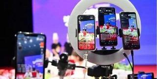 人参果的价格多少钱一斤（改个名字就价值连城的3大）