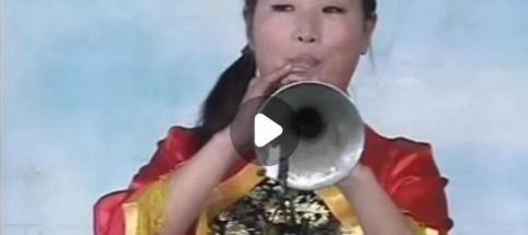 荆献顺演出一场多少钱（从跑街卖艺到大腕）