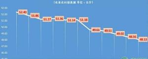 野猪肉多少钱一斤（11月19日全国生猪价格最新行情）